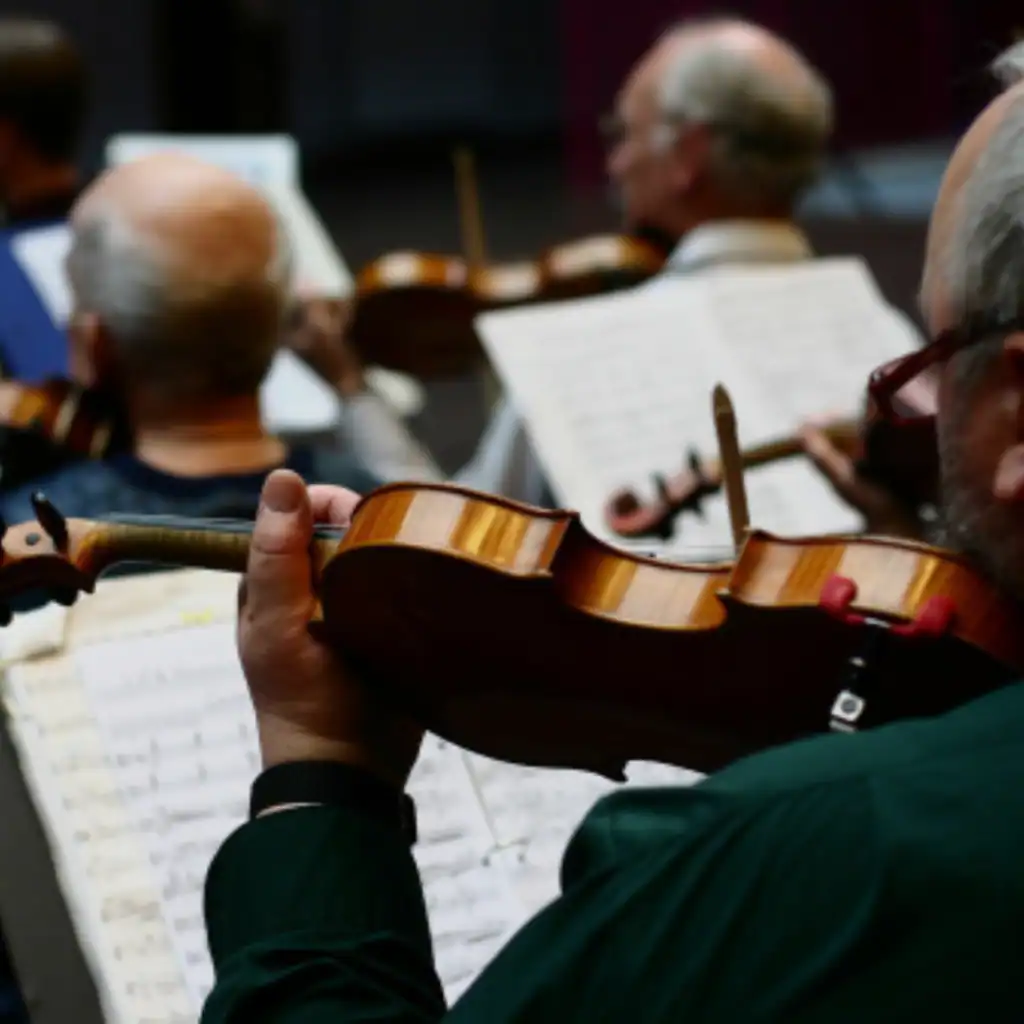 Violín en una orquesta, personas ensayando música clásica, enfoque en el músico, imagen de ensamble musical elegante y profesional.
